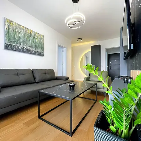 Magenta Kulina Bana *